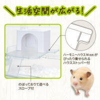 ハーモニーステージMの画像4