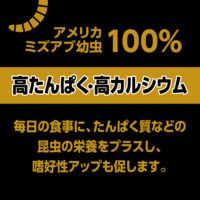 RepDeli バグプレミアムパウダーの画像4
