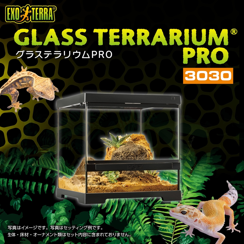 Exo Terra Pro Terrarium X-Small Wide｜小型爬虫類ケージの決定版