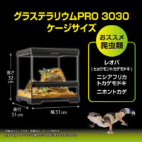 Exo Terra Pro Terrarium X-Small Wide｜小型爬虫類ケージの決定版｜ピュア☆アニマルの画像7