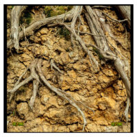 Exo Terra Pro Terrarium X-Small Wide｜小型爬虫類ケージの決定版｜ピュア☆アニマルの画像9