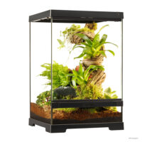 Exo Terra Pro Terrarium X-Small Wide｜小型爬虫類ケージの決定版｜ピュア☆アニマルの画像1