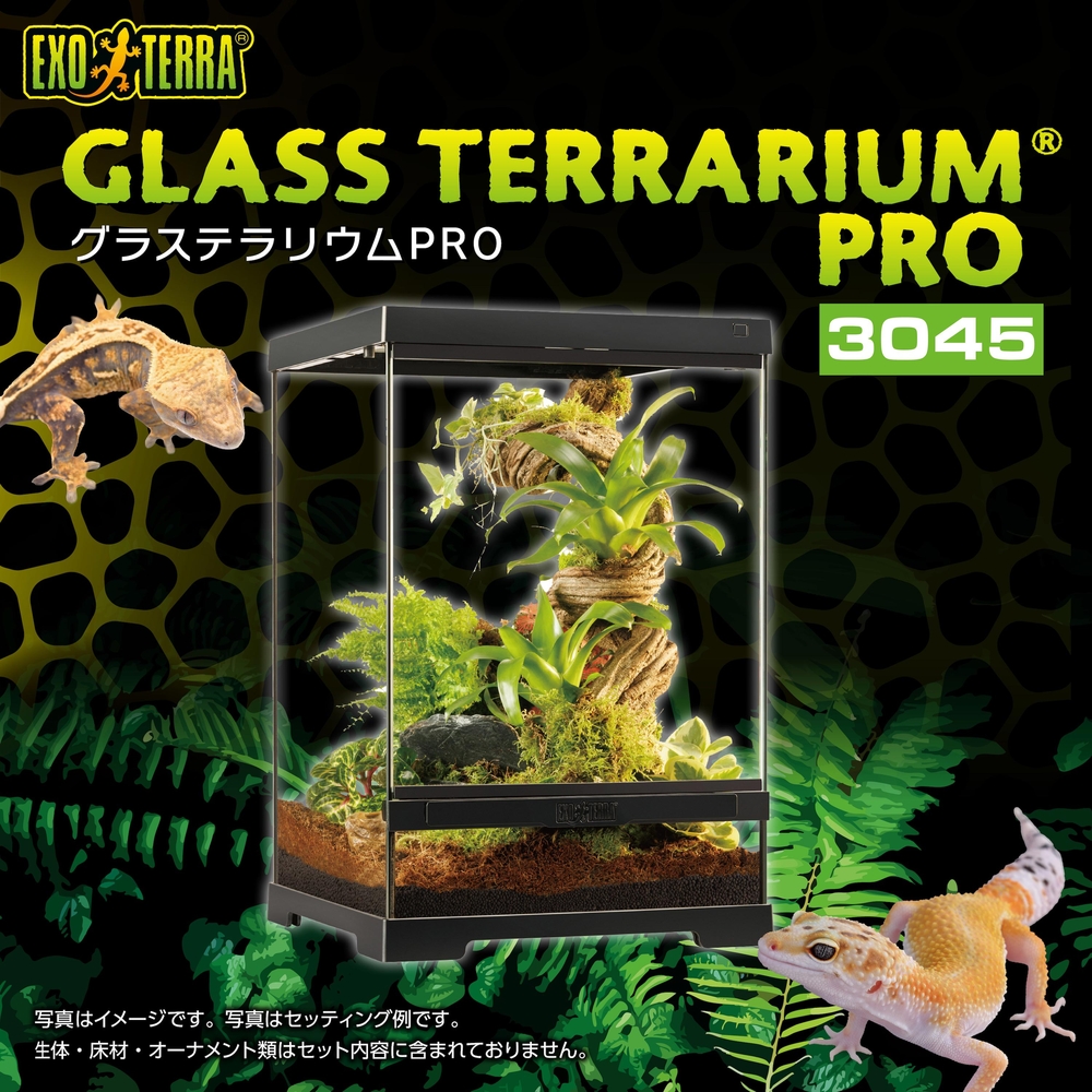 Exo Terra Pro Terrarium X-Small Wide｜小型爬虫類ケージの決定版