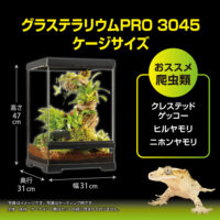 Exo Terra Pro Terrarium X-Small Wide｜小型爬虫類ケージの決定版｜ピュア☆アニマルの画像7