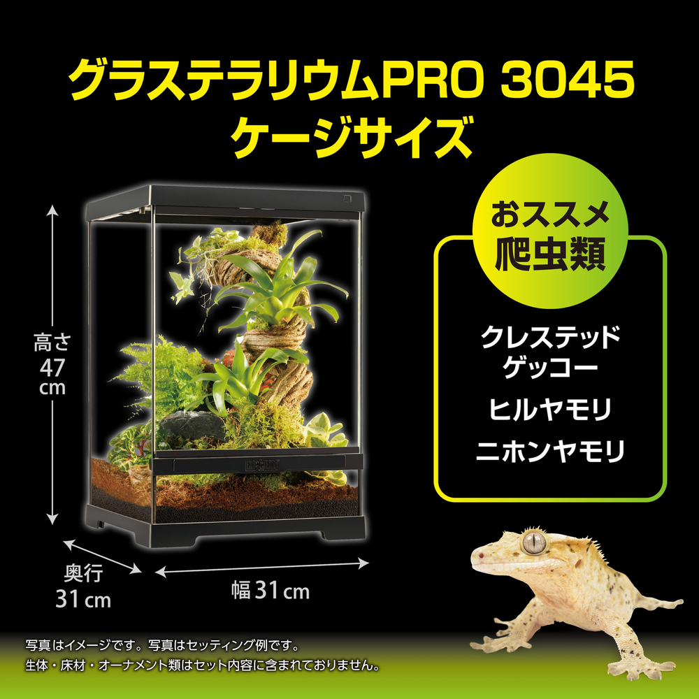 Exo Terra Pro Terrarium X-Small Wide｜小型爬虫類ケージの決定版