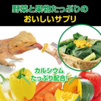 RepDeli カルシウムペースト 乳酸菌プラス｜爬虫類用カルシウム＆乳酸菌ペースト 2.5g×10本（国産）の画像3