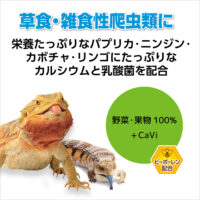 RepDeli カルシウムペースト 乳酸菌プラス｜爬虫類用カルシウム＆乳酸菌ペースト 2.5g×10本（国産）の画像6