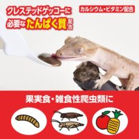 RepDeli フルーツ&バグペースト りんご&パインの画像2