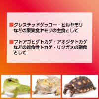 RepDeli フルーツ&バグペースト りんご&パインの画像7