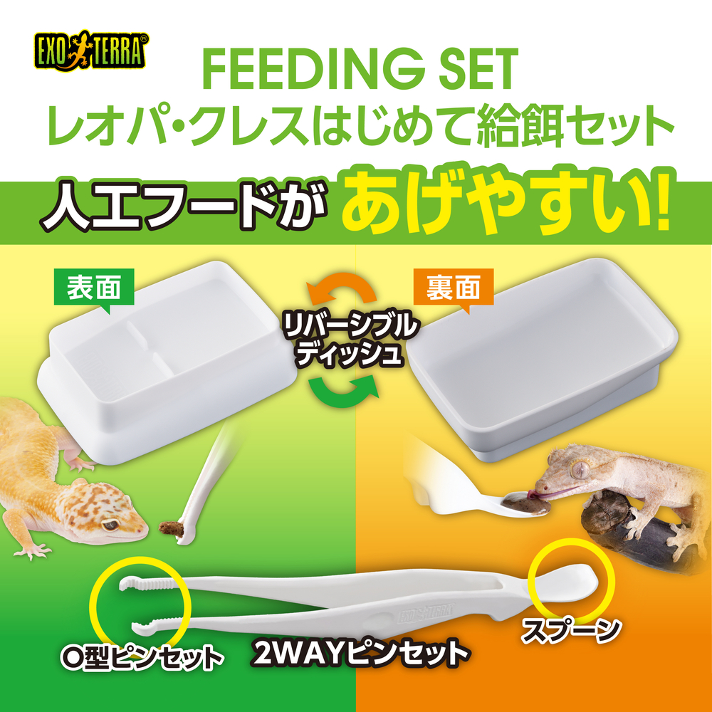 レオパ・クレス はじめて給餌セット（2WAYピンセット＋給餌皿）｜清潔設計で初心者も安心のメイン画像