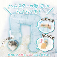 ハーモニーアスレチックの画像2