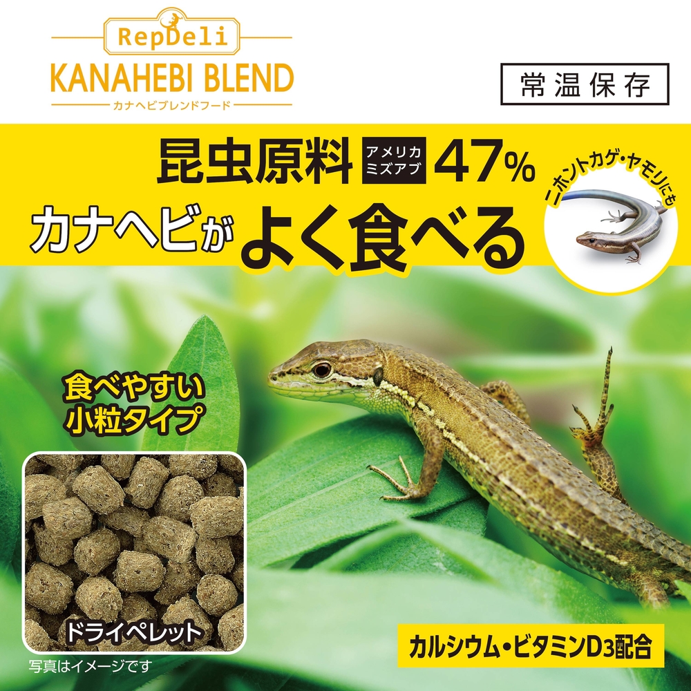 GEX カナヘビブレンドフード40g｜ピュアアニマルのメイン画像