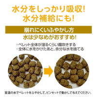 GEX カナヘビブレンドフード40g｜ピュアアニマルの画像3