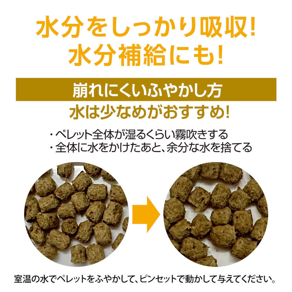 カナヘビブレンドフードの水分を吸収させるふやかし方