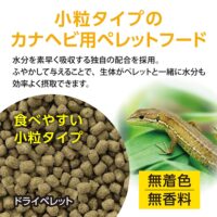 GEX カナヘビブレンドフード40g｜ピュアアニマルの画像4