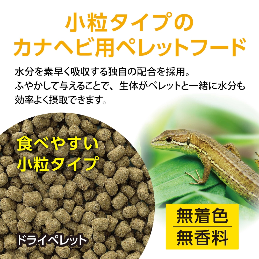 カナヘビが食べやすい小粒タイプのドライペレット