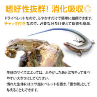 GEX カナヘビブレンドフード40g｜ピュアアニマルの画像6