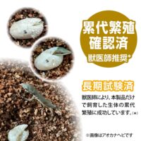 GEX カナヘビブレンドフード40g｜ピュアアニマルの画像7
