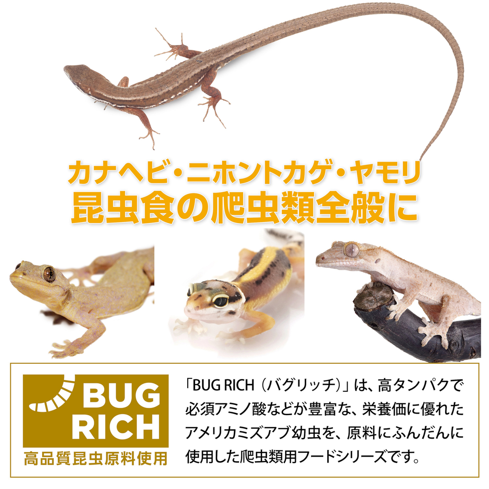 カナヘビやニホントカゲ、ヤモリなど本品を検討できる昆虫食爬虫類