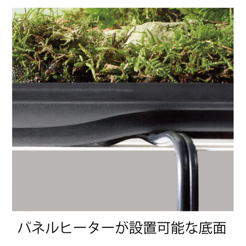 爬虫類ケージ GEX エキゾテラ グラステラリウム 3030 爬虫類 ケージ