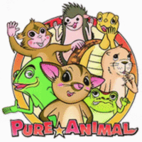 フクロモモンガの画像9