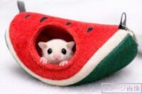 スイカポーチの画像1