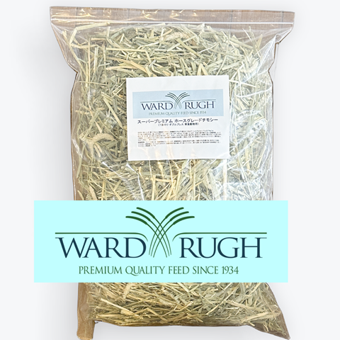 ワードルー（Ward Rugh）ホースグレードチモシー1番刈りダブルプレスを当店目線で解説｜大田区ピュアアニマルのトップイメージ